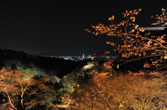 京都の旅【清水寺/ﾗｲﾄｱｯﾌﾟ】