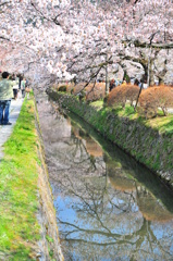 京都の旅【哲学の道】