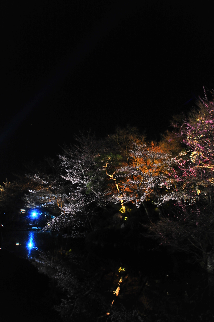 京都の旅【清水寺/ﾗｲﾄｱｯﾌﾟ】