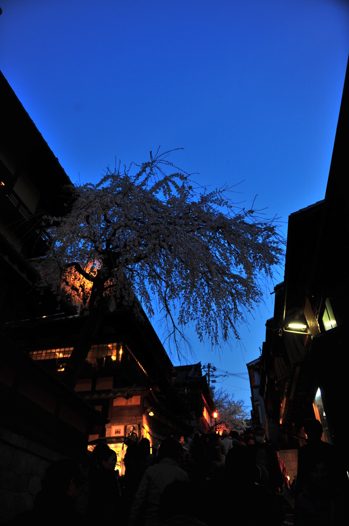 京都の旅【清水寺】