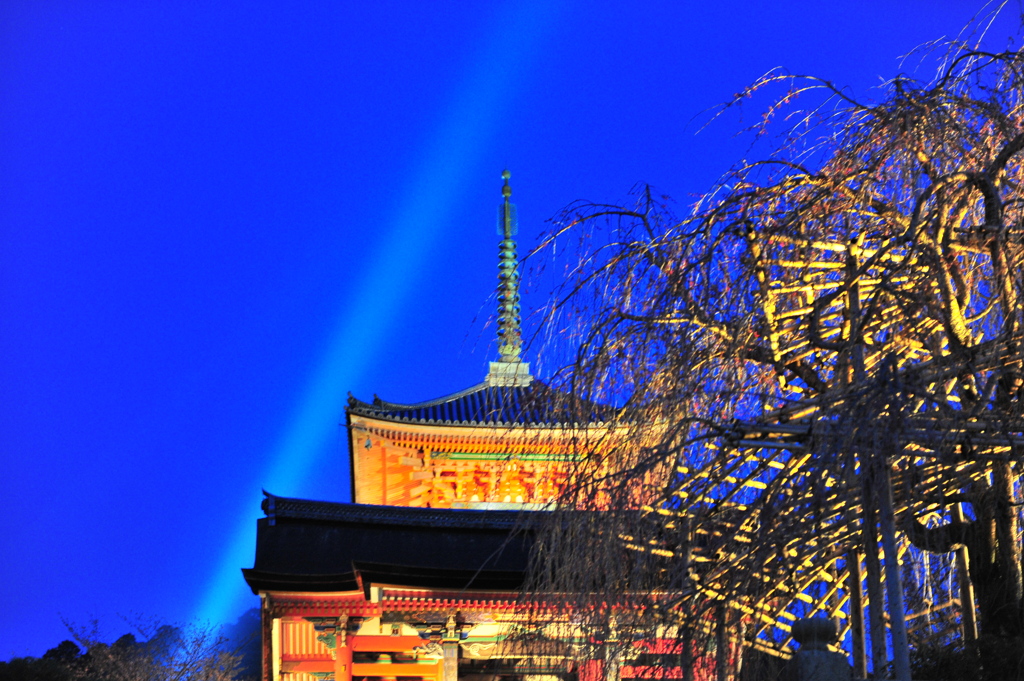 京都の旅【清水寺/ﾗｲﾄｱｯﾌﾟ】
