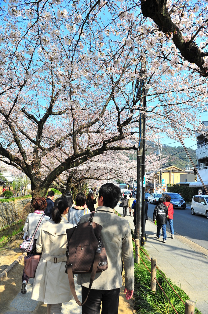 京都の旅【哲学の道】