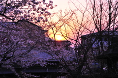 京都の旅【清水寺】