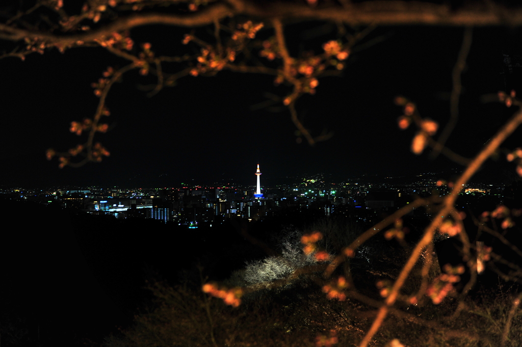 京都の旅【清水寺/ﾗｲﾄｱｯﾌﾟ】