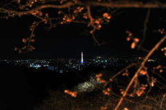 京都の旅【清水寺/ﾗｲﾄｱｯﾌﾟ】