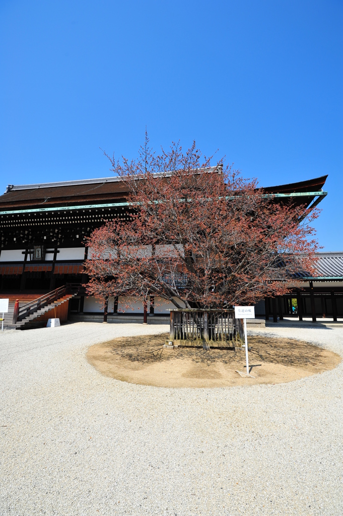 京都の旅【京都御所】