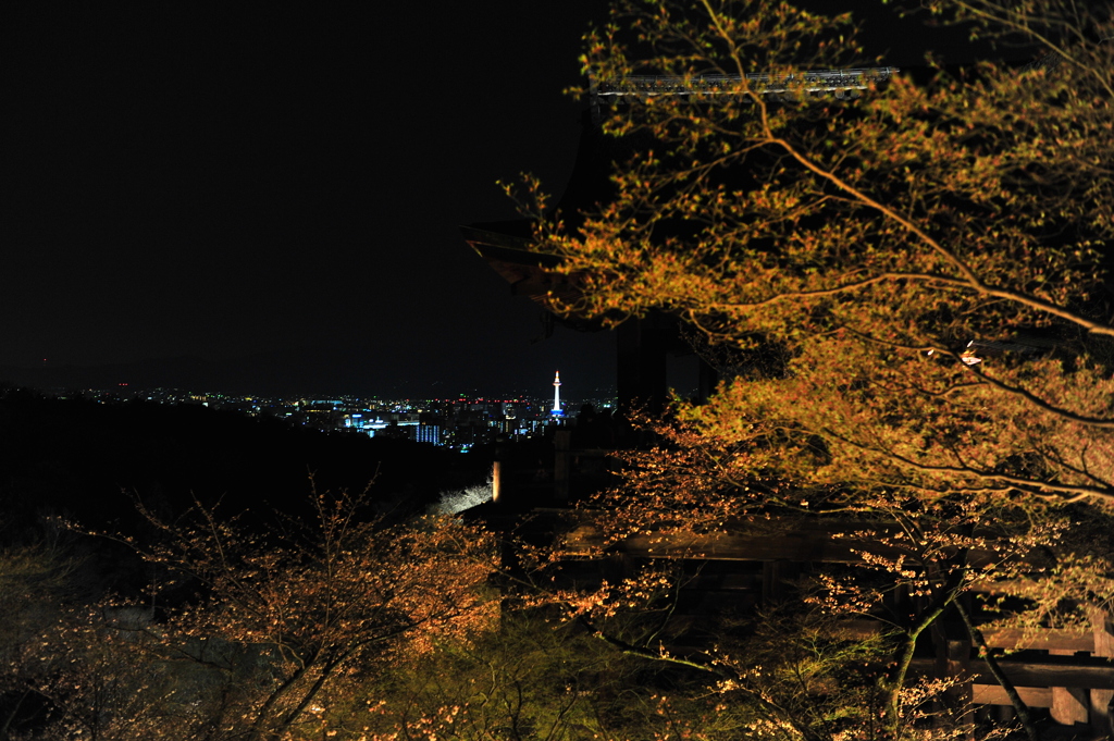 京都の旅【清水寺/ﾗｲﾄｱｯﾌﾟ】