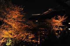 京都の旅【清水寺/ﾗｲﾄｱｯﾌﾟ】