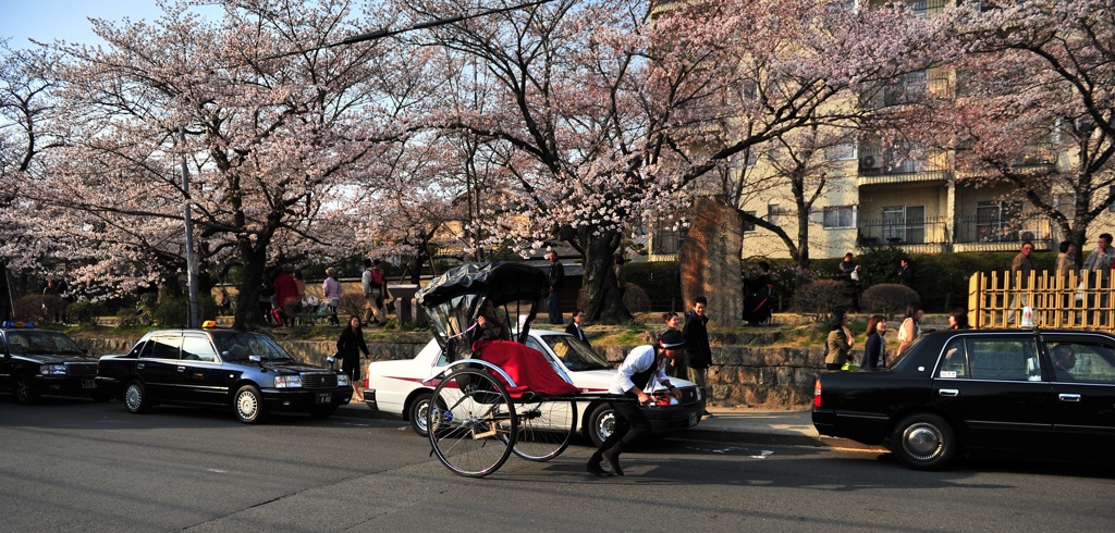 京都の旅【哲学の道】