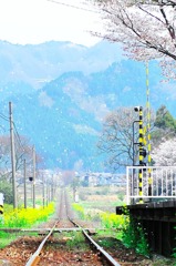 道標