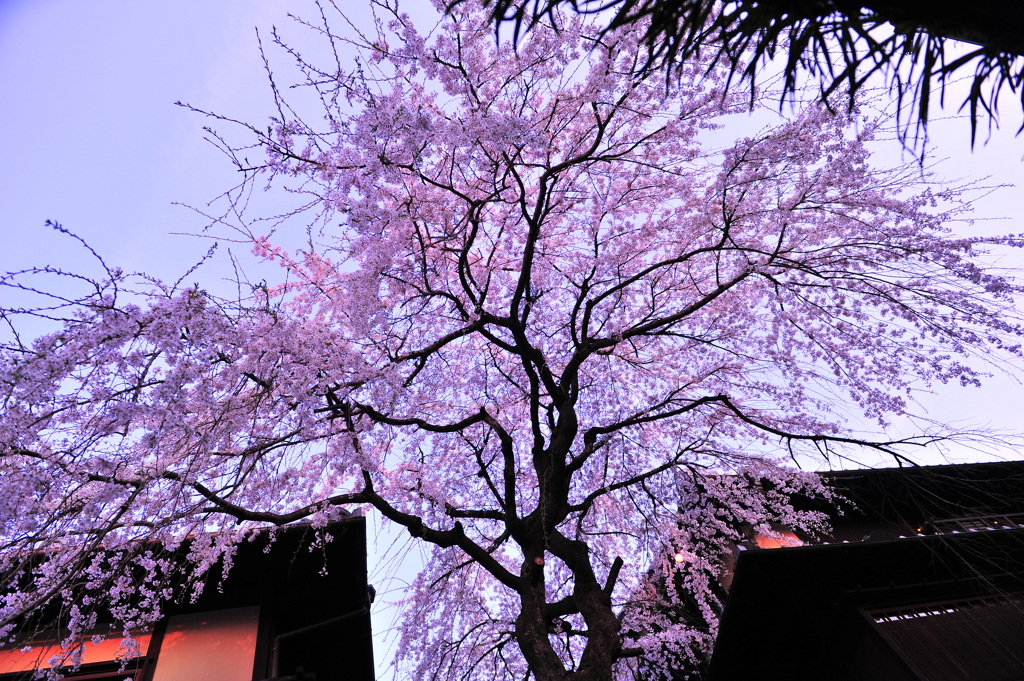 京都の旅【清水寺】