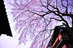 京都の旅【清水寺】