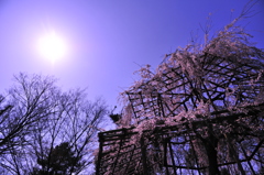 鴨川
