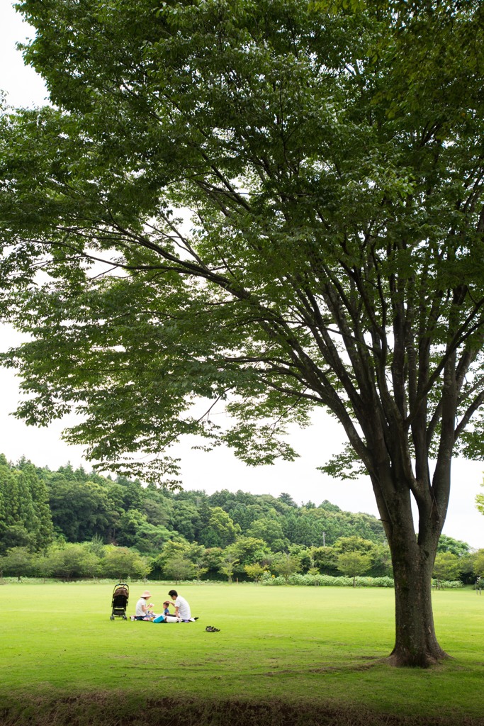 休日の光景