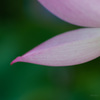 悩み
