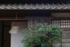 風