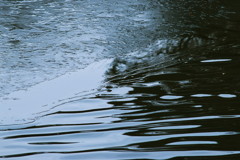 氷と水の境界