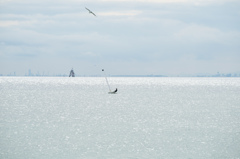 空を滑る、海を滑る