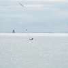 空を滑る、海を滑る