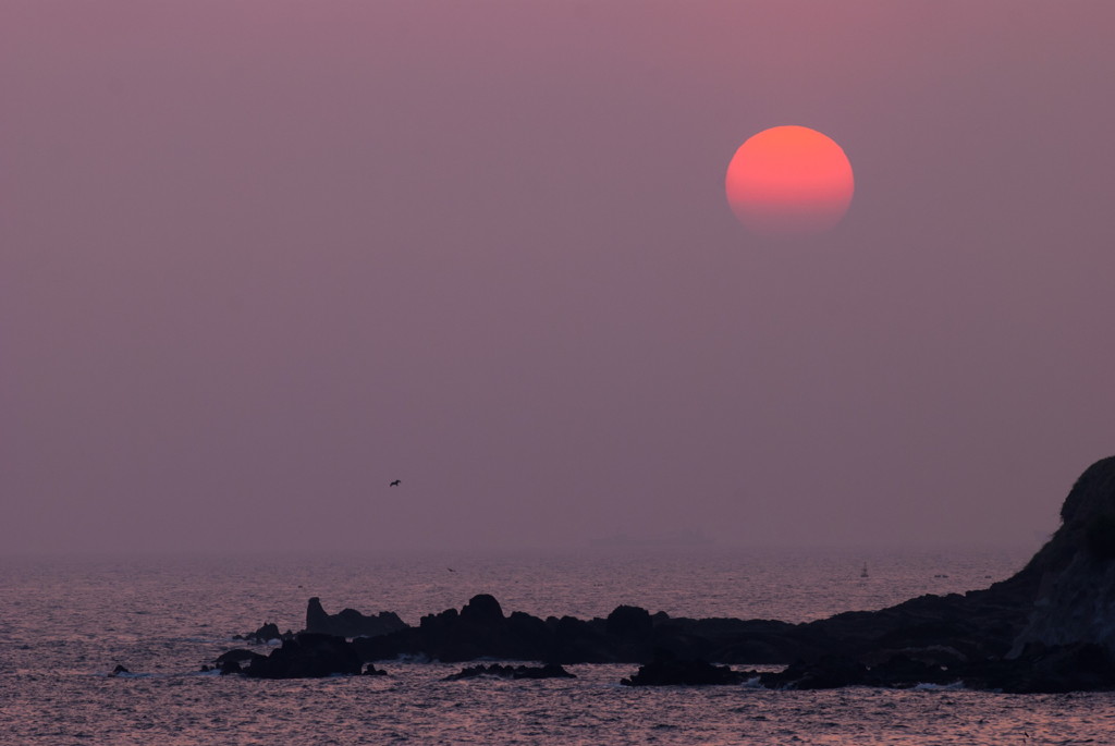 夕陽