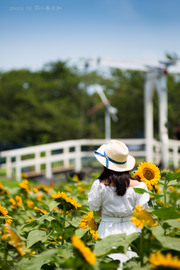 Lady sunflower