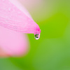 水滴