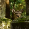 重なる視線