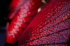 灯りの中の花