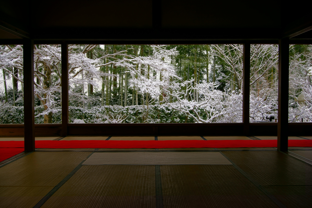 今朝の宝泉院