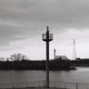江戸川#2