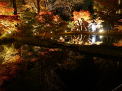 池に架かる橋