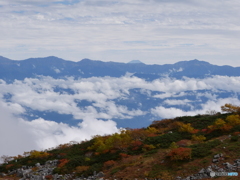 雲海から富士山を望む