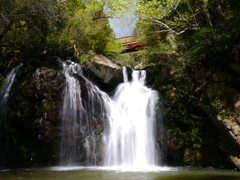 新緑の滝