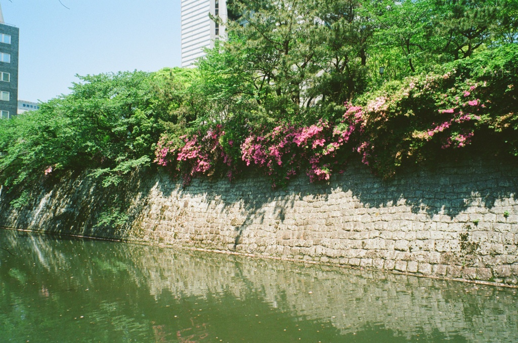 お堀