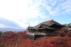 秋の清水寺