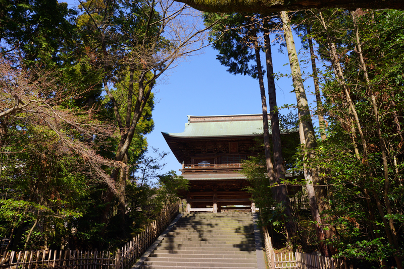 鎌倉の円覚寺