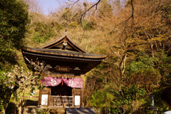 音世観聖