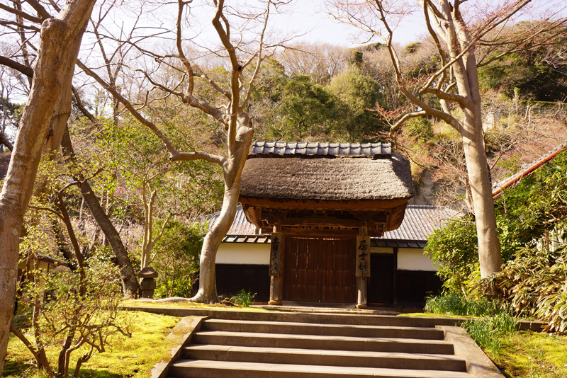 円覚寺居士林