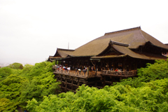 雨の清水寺