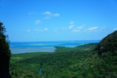 西表島のピナイサーラの滝上から眺める風景
