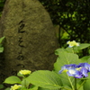 色をあつめて