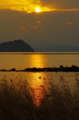 白鳥の湖