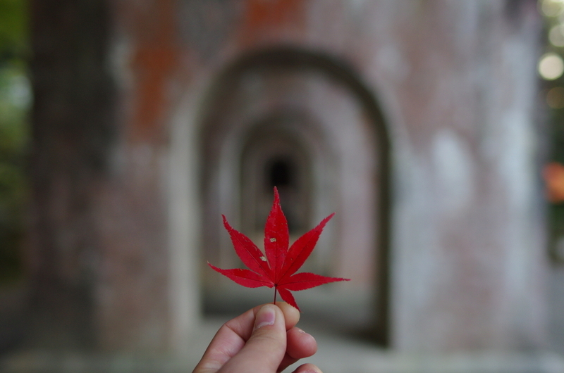 水道橋に紅を一輪