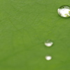 水滴
