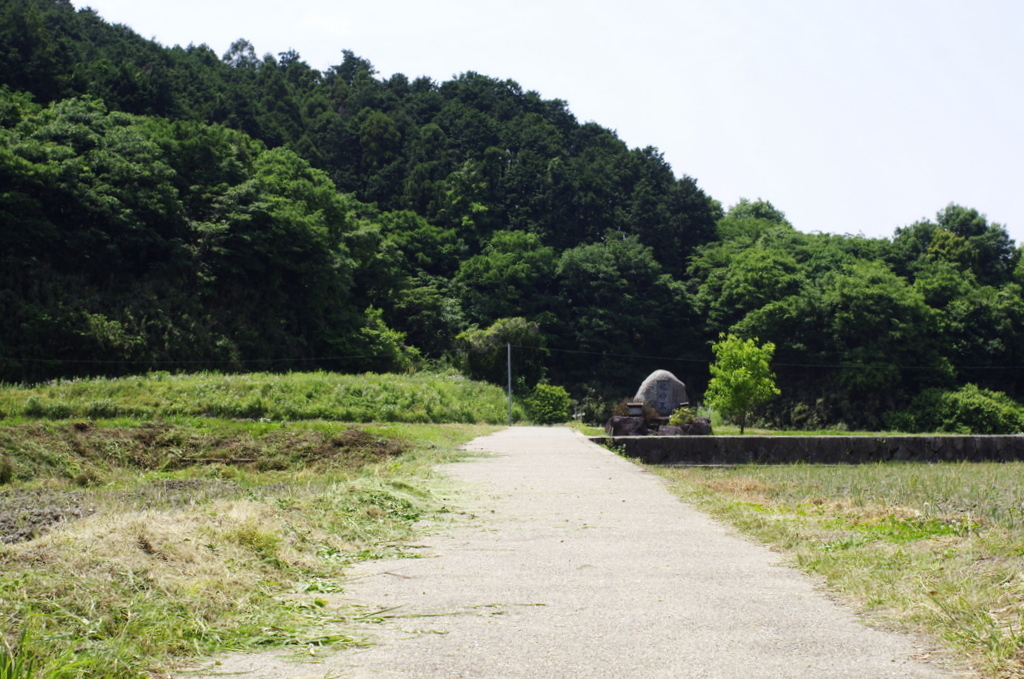 田舎道