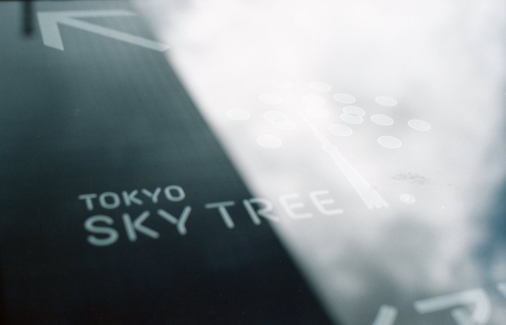 空の木