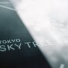 空の木