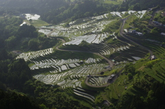 丸山千枚田