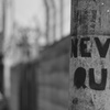 NEVER QUIT
