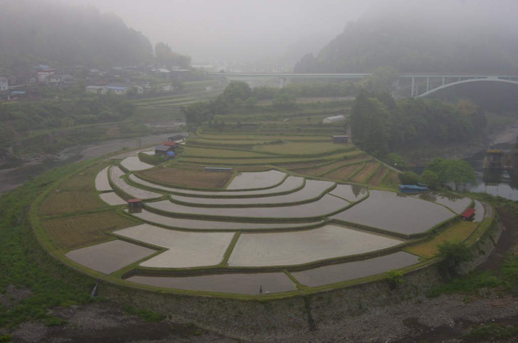 あらぎ島の棚田